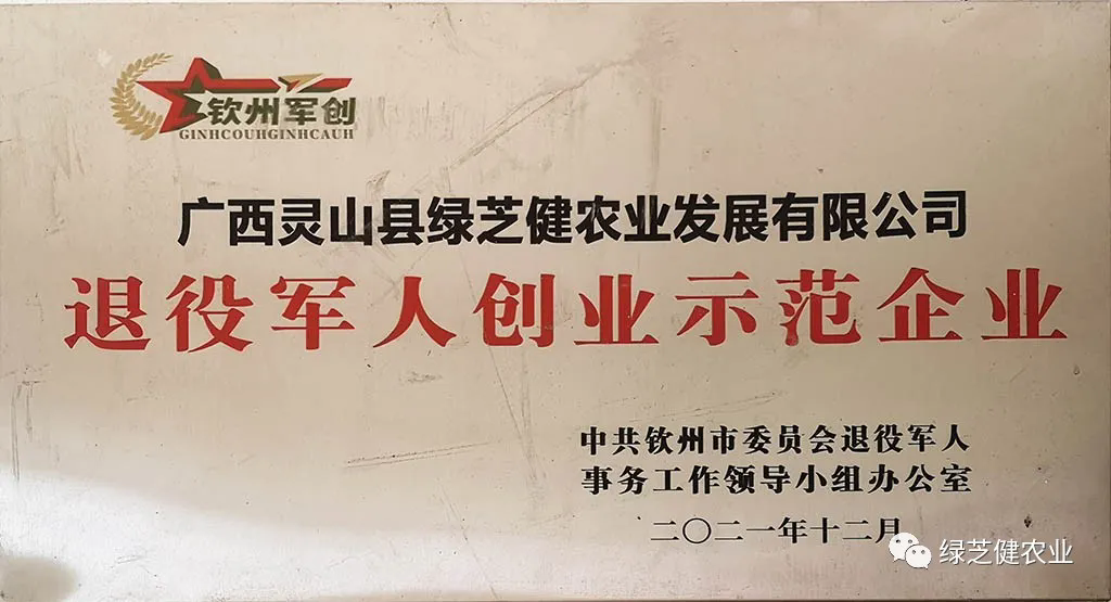 企业荣誉（一）