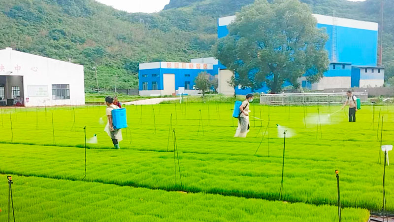 万亩“旱改水”标准农田建设纪实